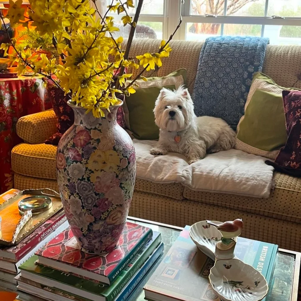 a white fluffy puppy sitting on a crochet sofa having cushions and throw. A large vase with yellow flowers is placed on the books on the front table.