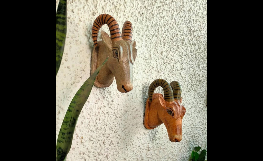 2 cow skull statue placed on white wall.