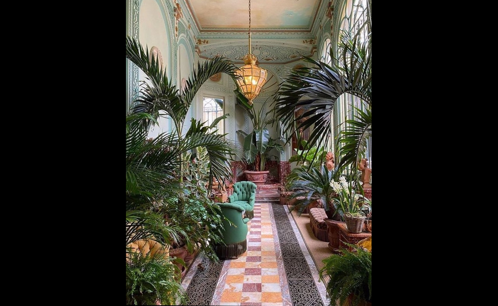 Palm trees placed in a corridor, near desert-themed bedroom.