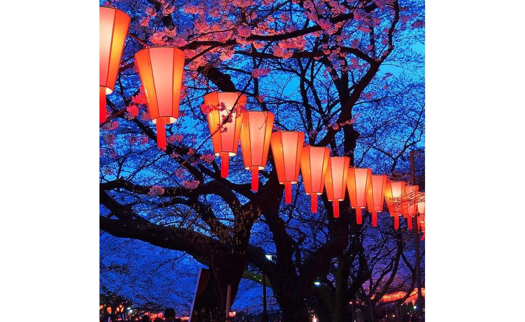 traditional Japanese style lanterns in dark outdoor environment.