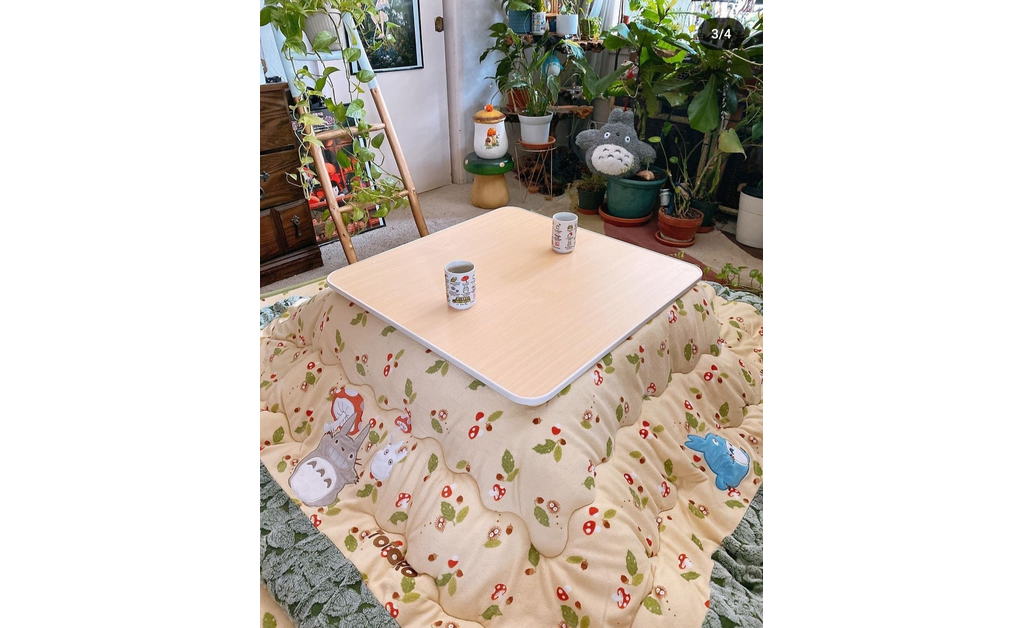 A kotatsu having two japanese printed cups on it. indoor plants all around.